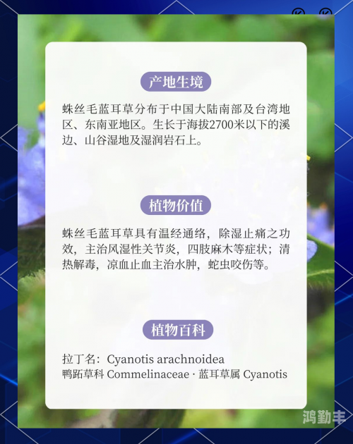 探索用力草我的深层含义