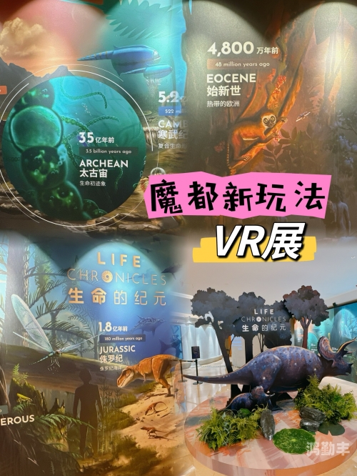 vr视频资源VR视频资源，开启沉浸式体验新纪元-第2张图片