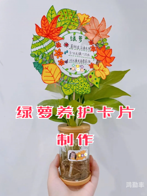 探索卡一卡二卡三免费网站的世界-第3张图片