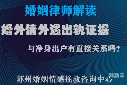 婚外情网站，探索现代情感关系的另一面