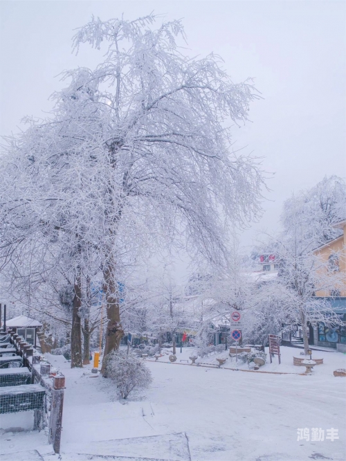 雪境前线攻略路线图雪境前线攻略，探索冰雪世界的胜利之路