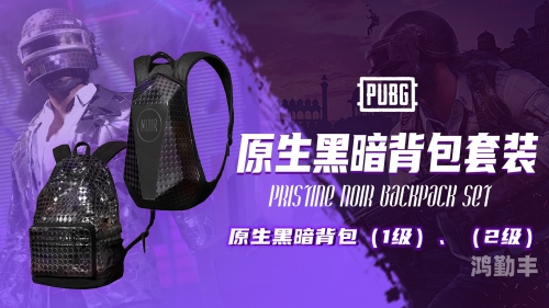 PUBG激活码，解锁绝地求生的神秘密钥-第3张图片