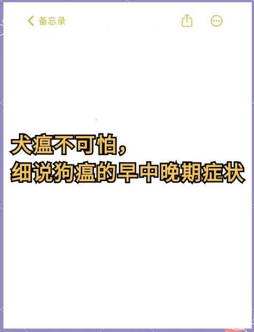 狗狗热射病症状狗狗射速与意外体验的热度-第3张图片