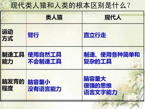 伊甸城伊甸城，神秘的乐园与人类起源的传说-第2张图片