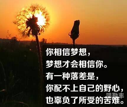 正能量网站www正能量免费网站正能量网站——免费获取积极能量的源泉-第1张图片