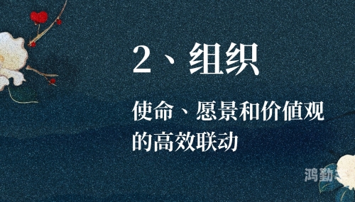 荔枝视频下载与网络道德探讨-第1张图片