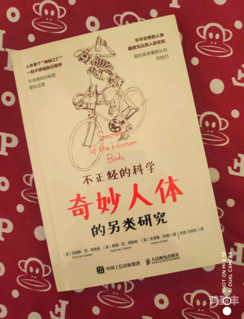 探索人体奥秘，66个关于66人体的事实与发现-第3张图片