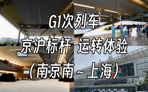 g11暗金探索神秘世界中的G11暗金-第1张图片