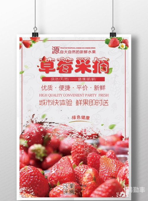 草莓app免费下载在线草莓APP免费下载，畅享生活新体验-第2张图片