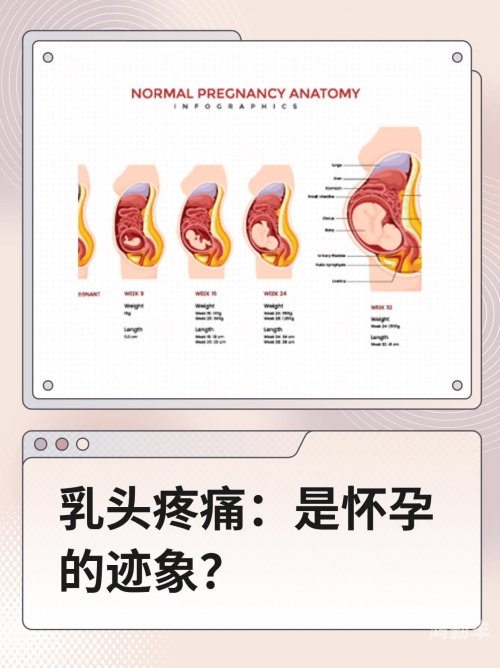 探索女友独特魅力，关于她奶头大小与舒适感的体验-第2张图片