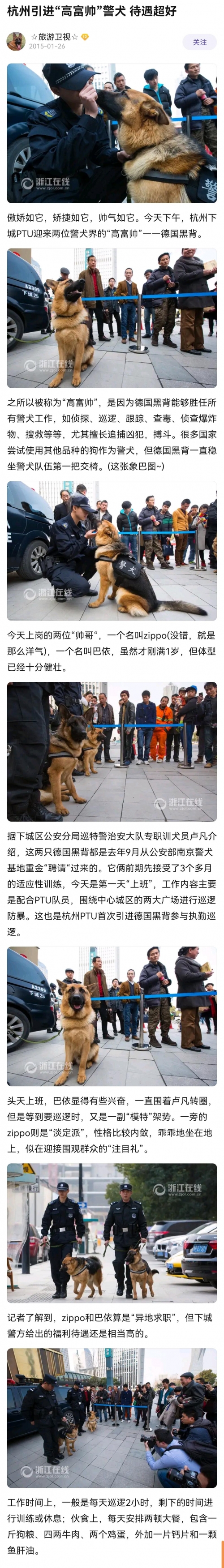 张津瑜 警犬 亚洲一区张津瑜与警犬，守护平安的默契伙伴-第3张图片