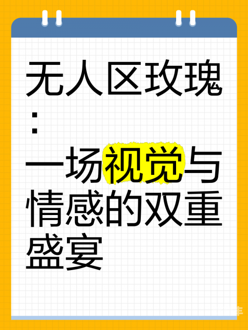 夜色玫瑰比无人区玫瑰贵多少操屁夜色玫瑰与无人区玫瑰，价格差异的深度解析