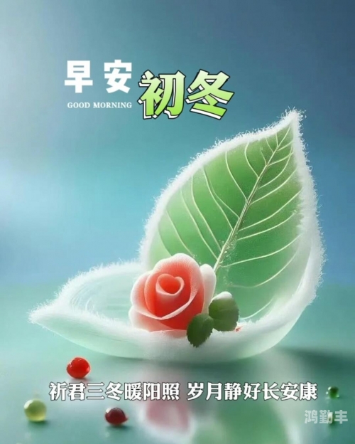 久草日久草日，一段时光的沉淀与美好-第1张图片