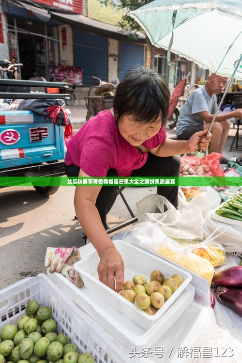 探索不同食材的魅力，丝瓜、草莓、秋葵、绿巨人与榴莲的破解版-第1张图片