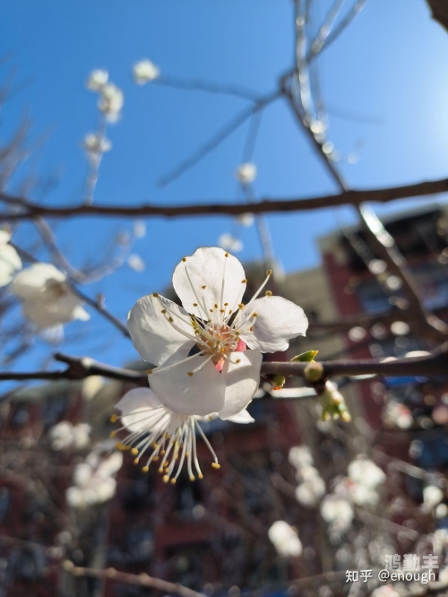 春暖花开下一句是什么来着春暖花开，探索最新地址的美丽之旅