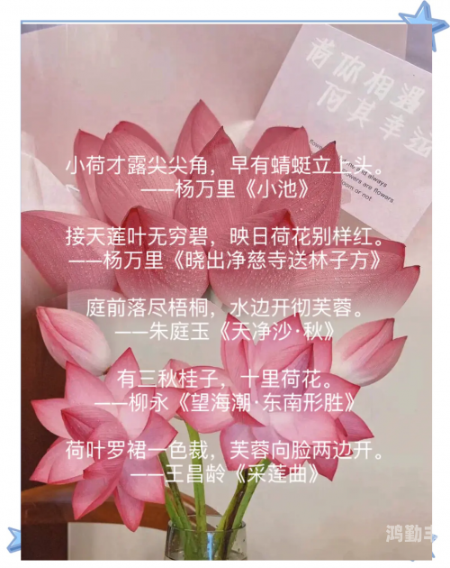 女性半夜莲花开什么意思女性半夜莲花开的深层含义-第2张图片