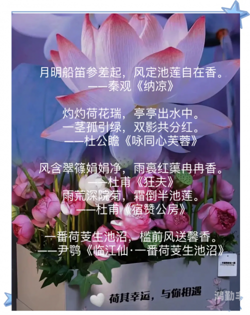 女性半夜莲花开什么意思女性半夜莲花开的深层含义