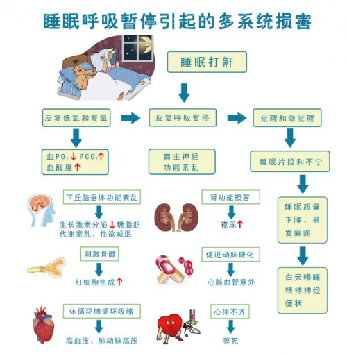 含着水睡觉的危害性含着睡觉，一种独特的体验-第1张图片