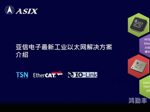 探索亚洲的BT区，多元文化的交汇与网络技术的融合