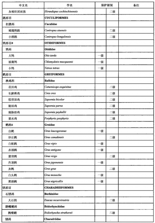 中国一级毛片视频中国一级毛片视频的探索与理解-第2张图片