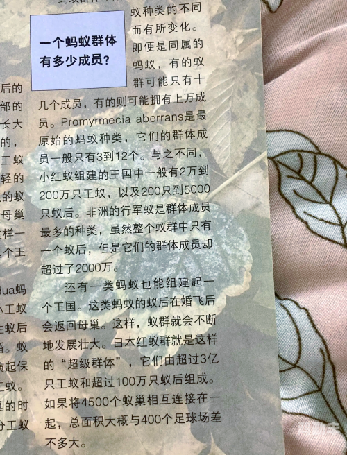 成语的探索之旅，哪个是成语蚂蚁庄园-第2张图片