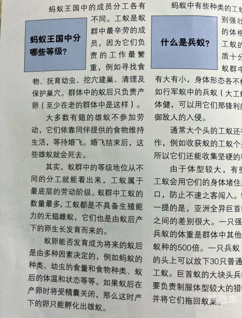 成语的探索之旅，哪个是成语蚂蚁庄园-第3张图片