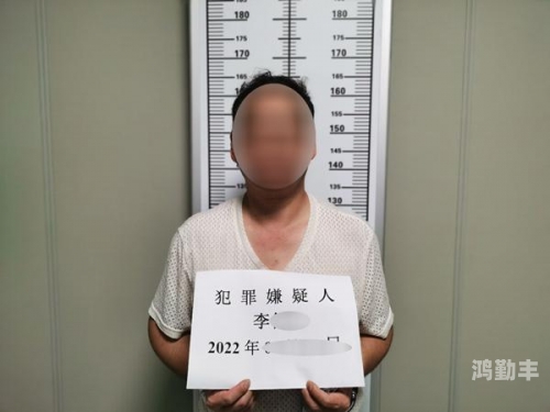 台警方开枪超50发追捕嫌疑人台警方开枪超50发追捕嫌疑人，警务行动的深度剖析-第3张图片