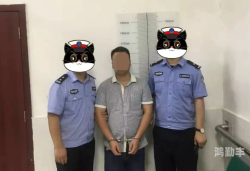 台警方开枪超50发追捕嫌疑人台警方开枪超50发追捕嫌疑人，警务行动的深度剖析-第2张图片