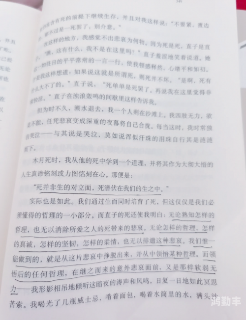 挪威的森林截了一段小视频4分钟爱奇艺挪威的森林，一段四分钟的森林之旅