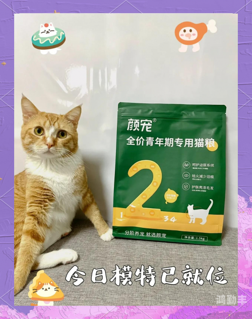 猫咪全新3.0猫咪全新3.0，探索智能宠物的革命性升级