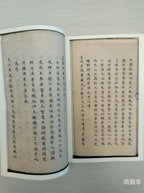 九阴真经武当经脉选择九阴真经武当派——武林秘籍的传承与探索-第1张图片