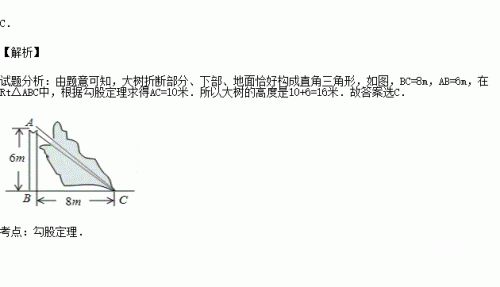 关于小sb与c之间的债务关系——以若若为线索的探讨