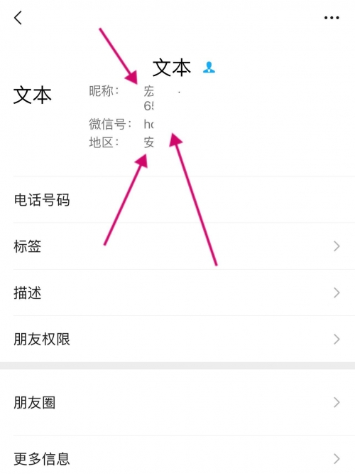 小明最新地域网名2023小明与首页的奇妙之旅-第2张图片