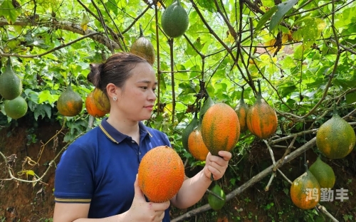 荔枝樱桃草莓小蝌蚪秋葵黄瓜五彩缤纷的夏日果宴与小蝌蚪的奇妙之旅-第2张图片