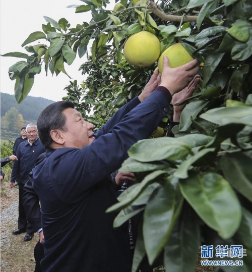 新一届中央领导集体新一届中央领导集体，团结奋进，共筑中国梦