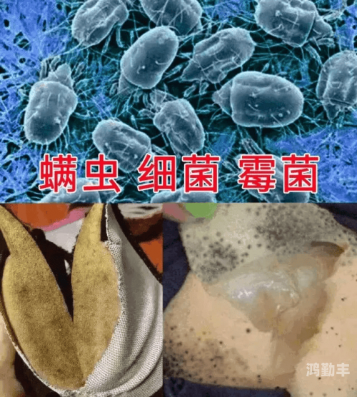 关于女同学裸露双乳供男生食用——一种不健康且不道德的行为-第1张图片