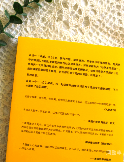 《言教授要撞坏了》言教授的惊险时刻，即将撞坏