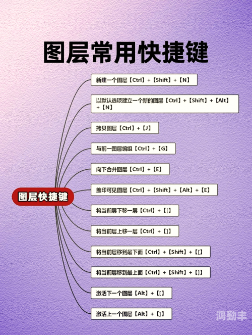 一键去除衣物p图网站一键去除衣物P图网站，现代科技下的视觉魔法与隐私挑战