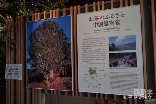 tobu日本名字探索日本之旅，Tobu日本之旅的精彩体验