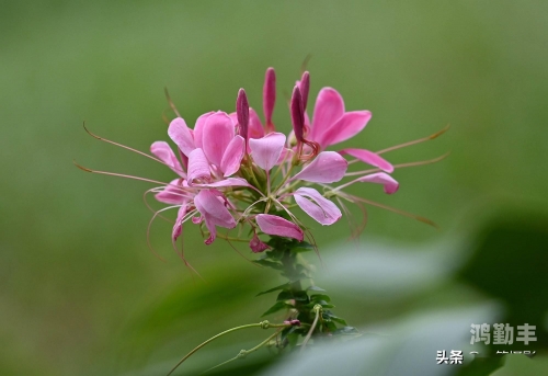 春暖论坛公告春暖论坛——心灵的交流与知识的汇聚