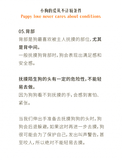 揭秘摸乳事件，社会影响与法律责任