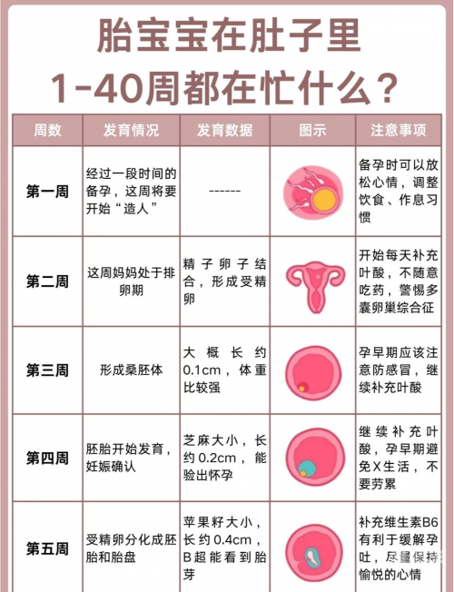 王小萌努尔是怎么怀孕的揭秘王小萌与努尔的怀孕历程-第2张图片