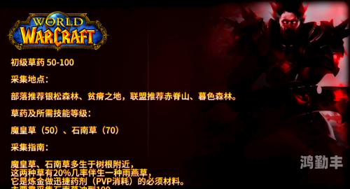 wow采药WOW采药之旅，探索与收获的奇妙旅程-第1张图片