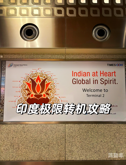 网站晚上你懂2024深夜的网站探索之旅-第2张图片