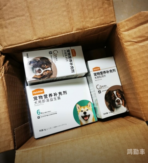 sean ford钙片GARY2022钙片，健康生活的必备营养品-第1张图片