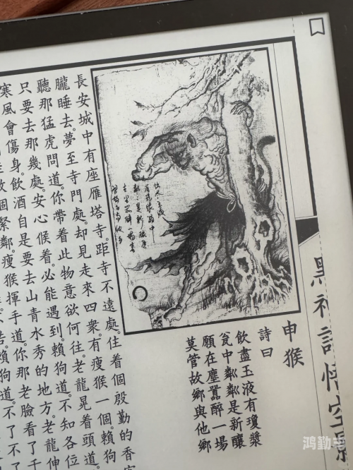 一本到髙清视频观看于从书本到屏幕，高清视频在线观看的全新体验-第1张图片