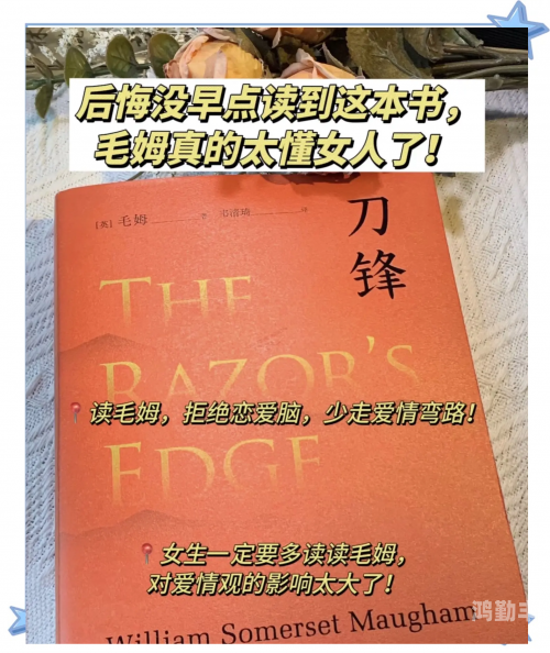 刀锋之影刀锋之影，探索未知的神秘力量-第1张图片