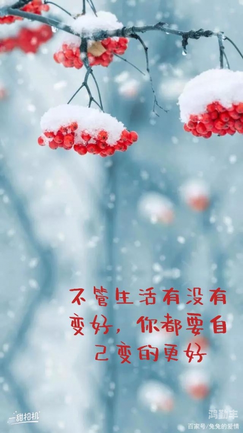免费正能量网站，你懂我意思，轻松下载安卓应用，作者分享正能量-第1张图片