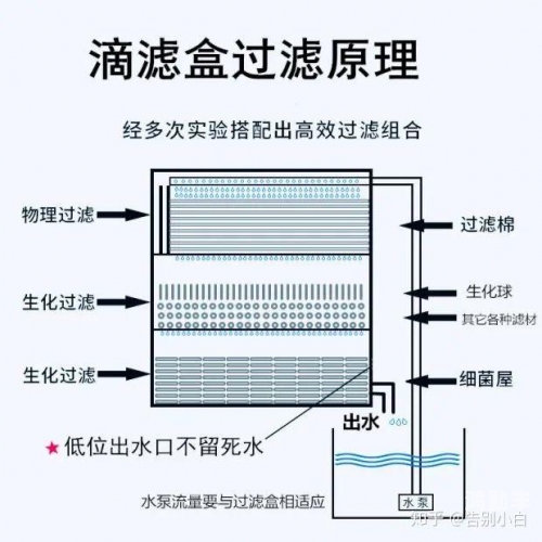 鱼缸测试性能网站，打造高效、稳定的在线服务平台-第1张图片
