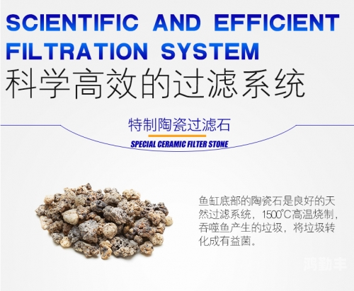 鱼缸测试性能网站，打造高效、稳定的在线服务平台-第2张图片
